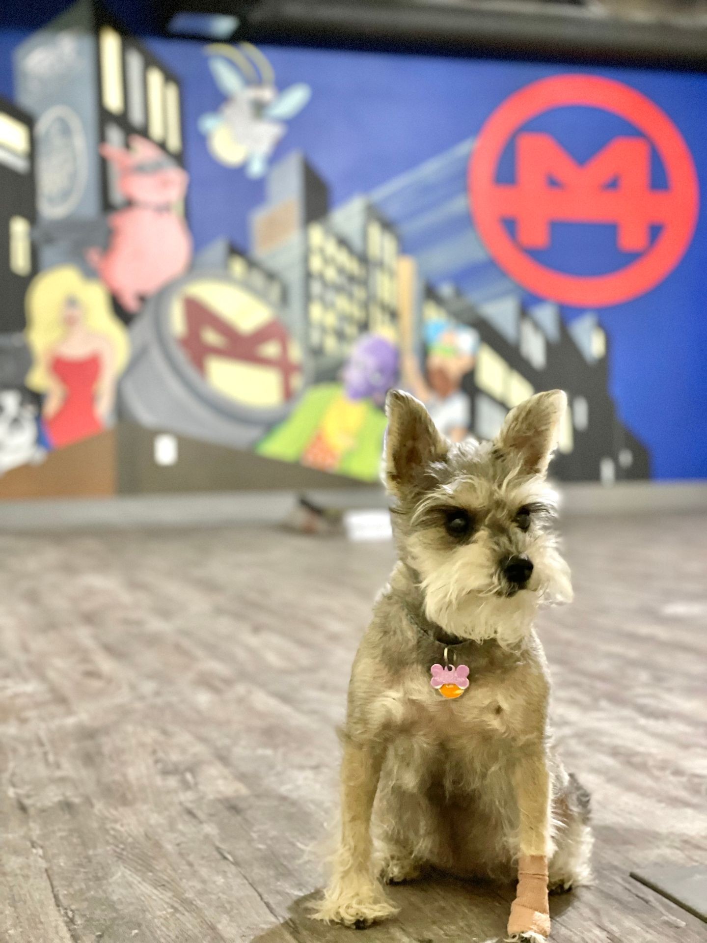 Murals