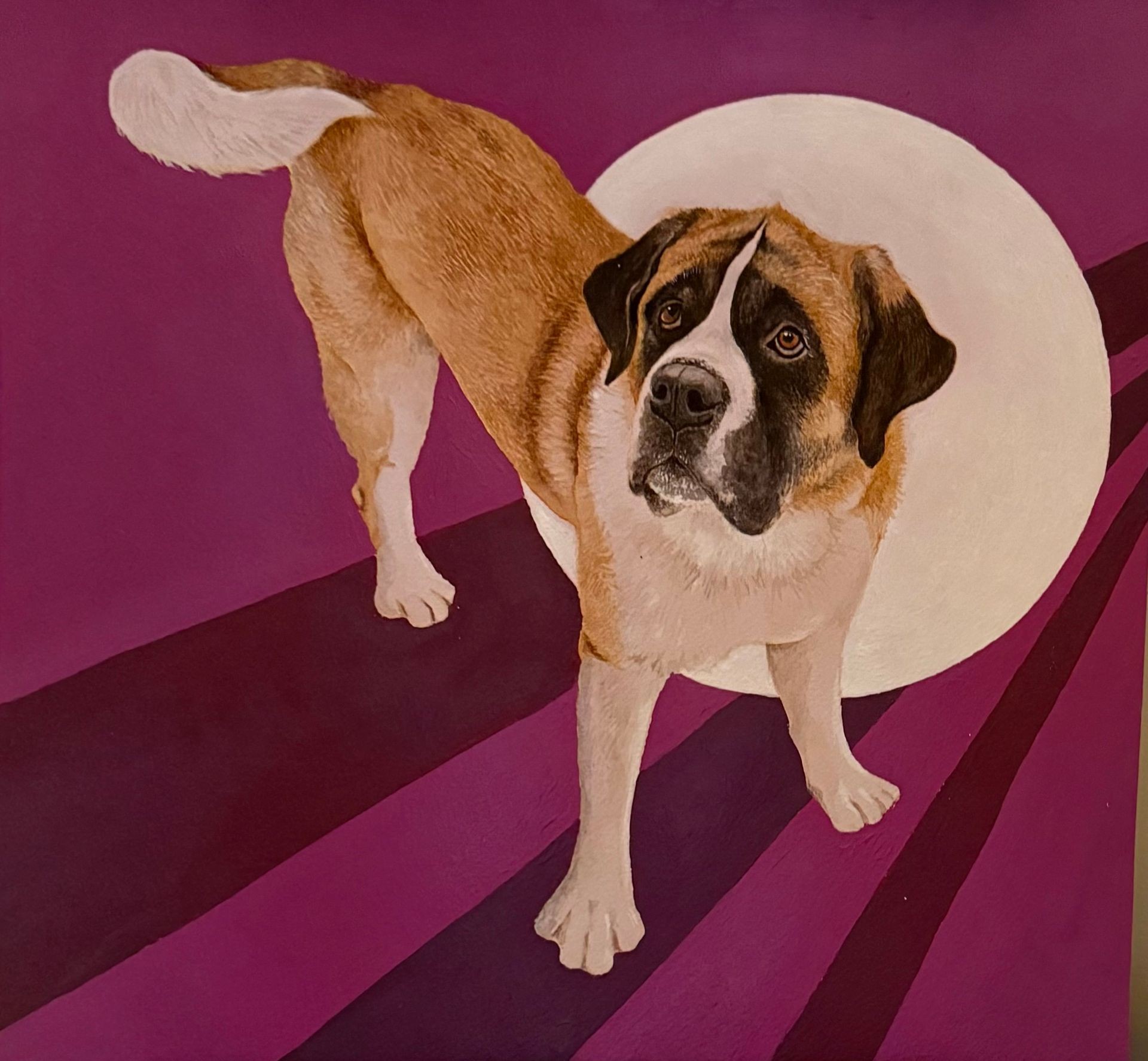 Picasso Pets
